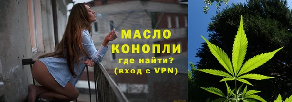 молекула духа Бородино