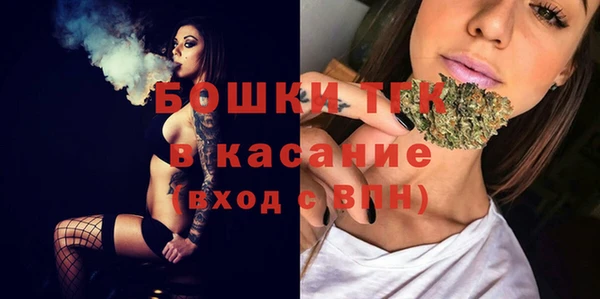 молекула духа Бородино