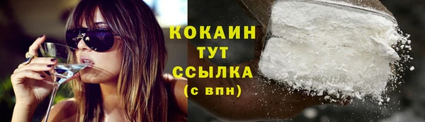 молекула духа Бородино