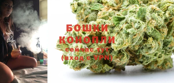 молекула духа Бородино