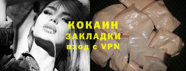 молекула духа Бородино